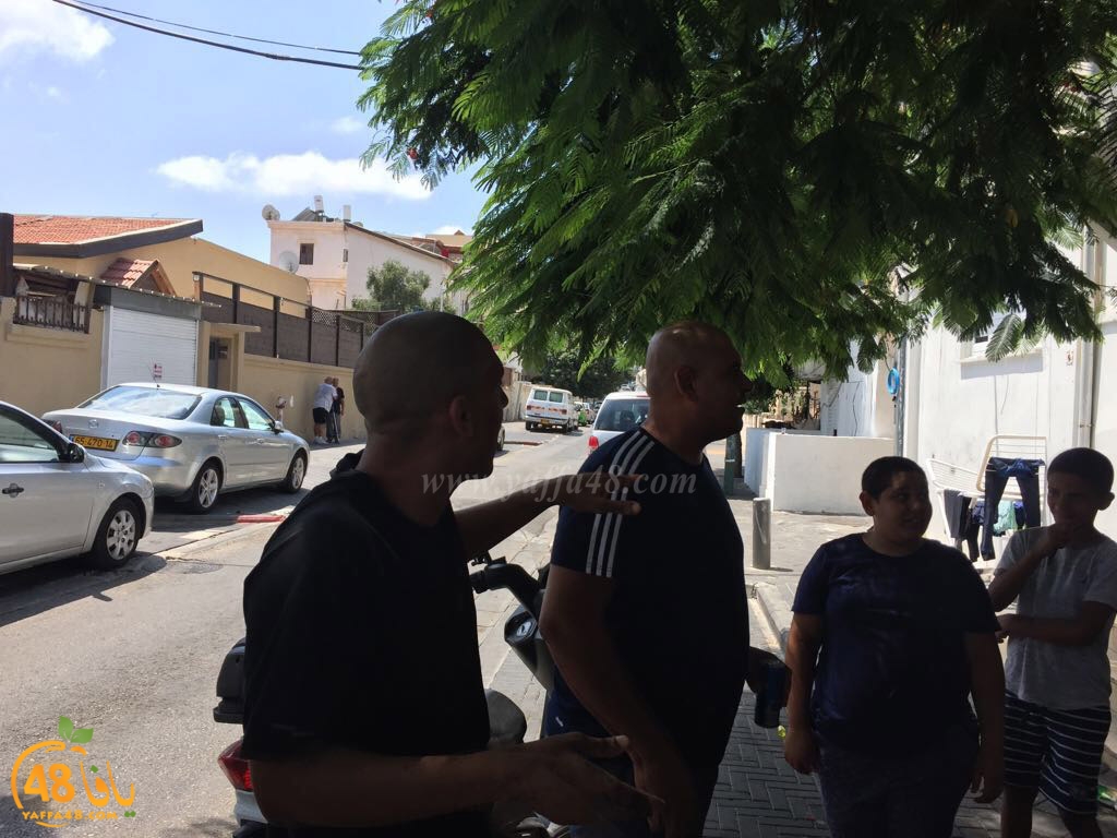 yaffashababout3 (5).jpg